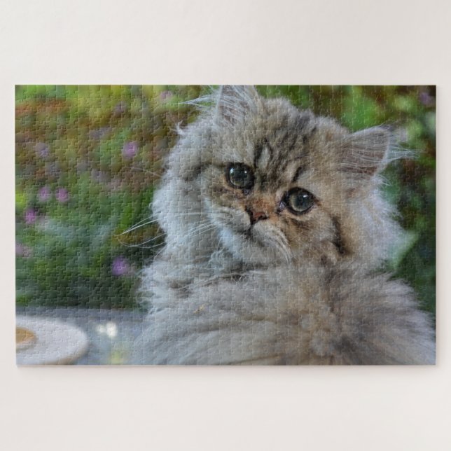 quebra-cabeça de gato fluffy (Horizontal)