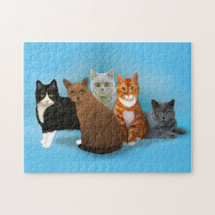 Quebra-cabeça de Gatos Bonitos para Gatos Amantes