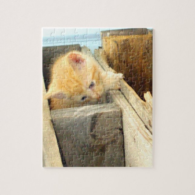 Quebra-cabeça de Gatos de Meia 1 (Vertical)