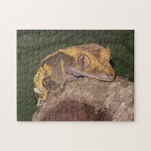Quebra-cabeça de Gecko Detido