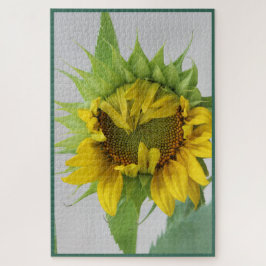 Quebra-cabeça de girassol