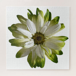 Quebra-cabeça de Green Daisy Jigsee
