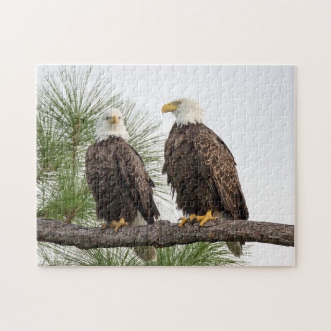 Quebra-cabeça de H&O (Horizontal)