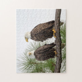 Quebra-cabeça de H&O