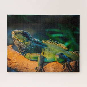 Quebra-cabeça de Iguana Wildlife