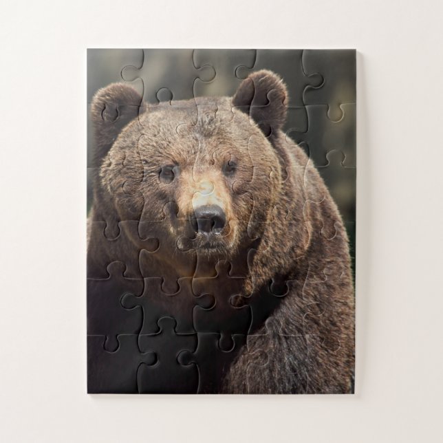 Quebra-cabeça DE JIGSAGEM DE URSO GRIZÍVEL (Vertical)