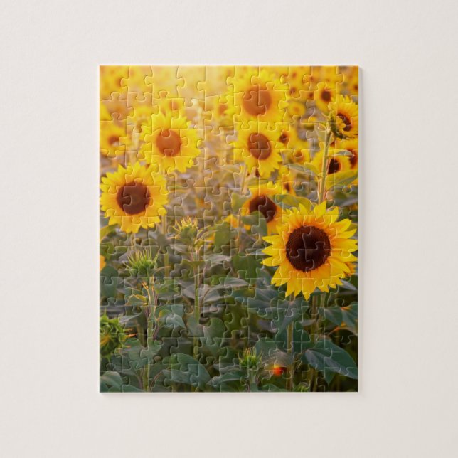 Quebra-cabeça DE JIGSAW 8X10 DO CAMPO SUNFLOWER (Vertical)