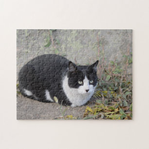 Quebra-cabeça de Jigsaw de Gato Branco e Preto