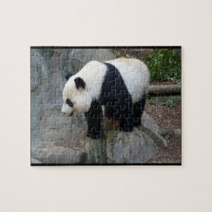 Quebra-cabeça de Jigsaw de Panda Bear de Foto Rea