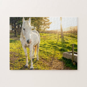 Quebra-cabeça de Jigsaw do Cavalo Árabe Branco