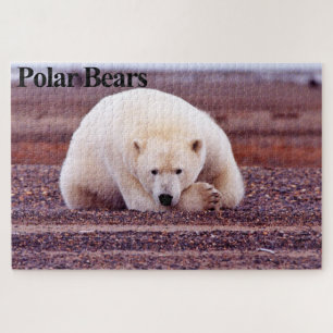 Quebra-cabeça de Jigsaw do Urso Polar Descansado