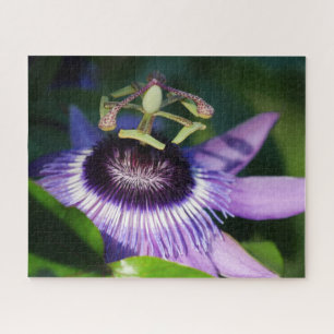Quebra-cabeça de Jigsaw Flor de Paixão