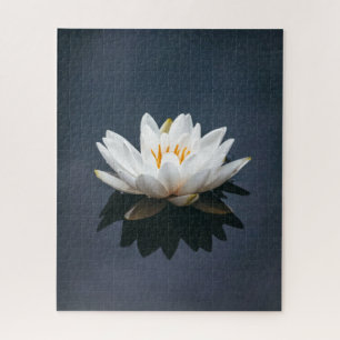 Quebra-cabeça de JIGSAW: LOTUS NA ÁGUA