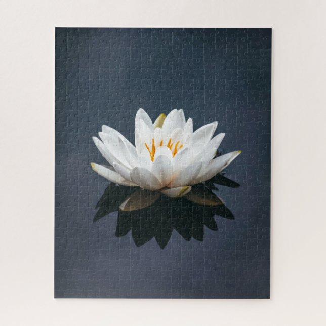 Quebra-cabeça DE JIGSAW: LOTUS NA ÁGUA (Vertical)