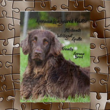 Quebra-cabeça de Jigserra de Ponteiro de Cabelo Lo