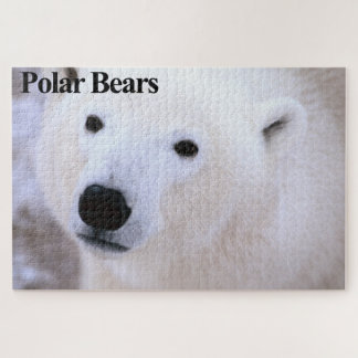 Quebra-cabeça de Jigserra Polar Bear Cub