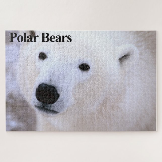Quebra-cabeça de Jigserra Polar Bear Cub (Horizontal)