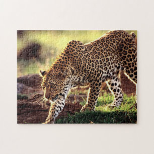 Quebra-cabeça de Jogo de Leopardo