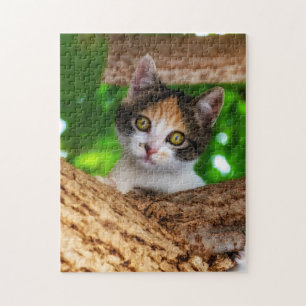 Quebra-cabeça de jogo-Kitten