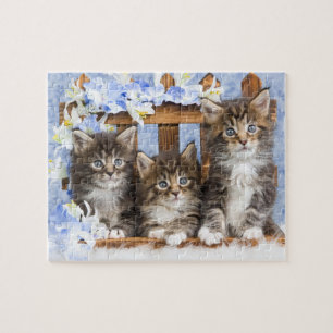 Quebra-cabeça de Jogos de Kittens