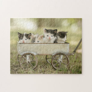 Quebra-cabeça de jogos-Kittens