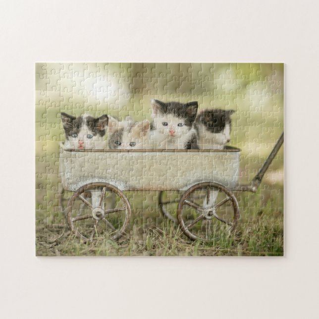 Quebra-cabeça de jogos-Kittens (Horizontal)