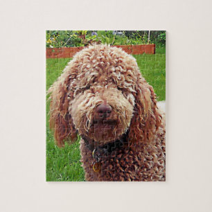 Quebra-cabeça de Labradoodle "Stella"