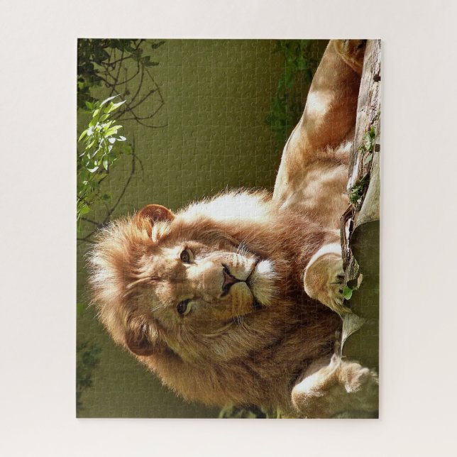 Quebra-cabeça - Leão - Frete grátis na Decora Vibes