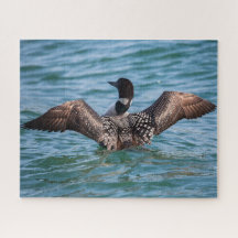 Quebra-cabeça de Leão Pouco Frequente