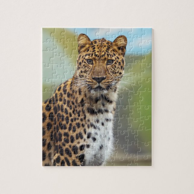 Quebra-cabeça de Leopardo (Vertical)