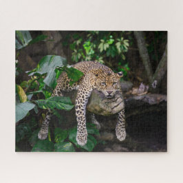 Quebra-cabeça de leopardo preguiçoso