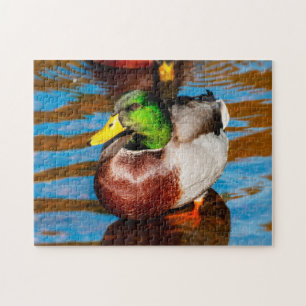 Quebra-cabeça de Mallard Pequeno Pato Bonito