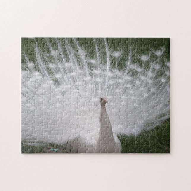 Quebra-cabeça de Maravilha Branca (Horizontal)