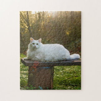 Quebra-cabeça de Marcha de Mikey