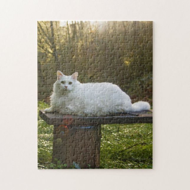 Quebra-cabeça de Marcha de Mikey (Vertical)