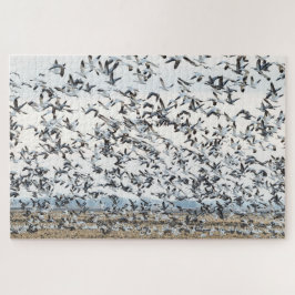 Quebra-cabeça de migração Primavera