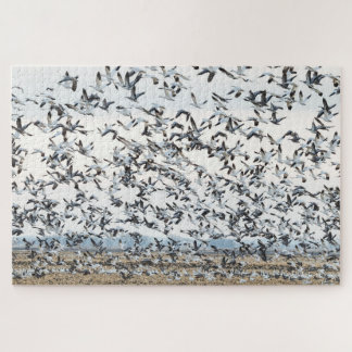 Quebra-cabeça de migração Primavera