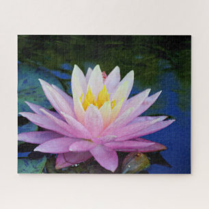 Quebra-cabeça de Molho de Waterlily Molhe, Rosa