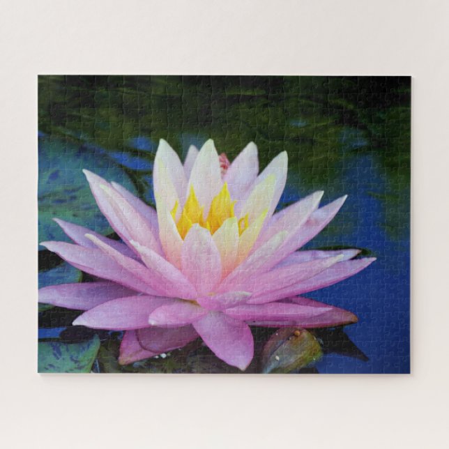 Quebra-cabeça de Molho de Waterlily Molhe, Rosa (Horizontal)