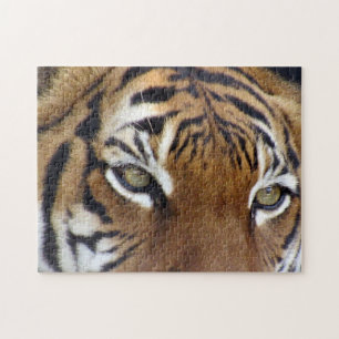 Quebra-cabeça de Olhos de Tigre