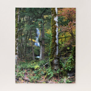 Quebra-cabeça de Oregon Forest Jigsaw