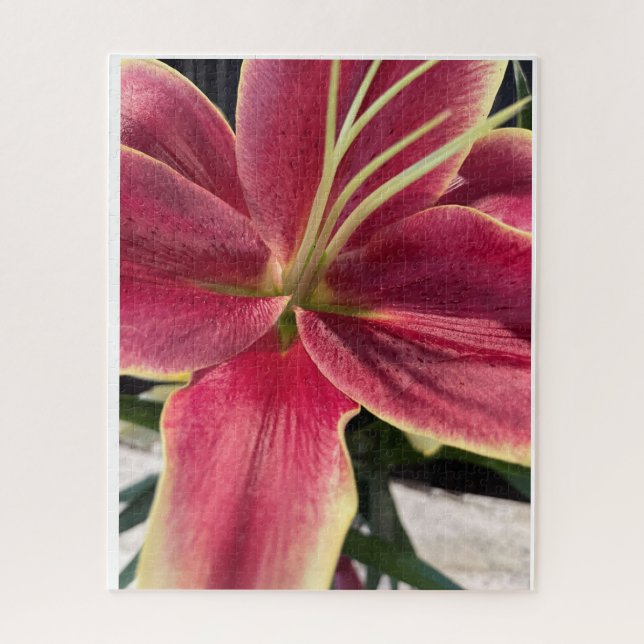 Quebra-cabeça de orquídea (Vertical)