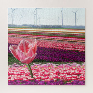 Quebra-cabeça de Paisagem: Campo de Tulipas Púrpur