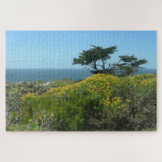 Quebra-cabeça de Paisagem: Vista do Oceano Sul-Afr (Horizontal)