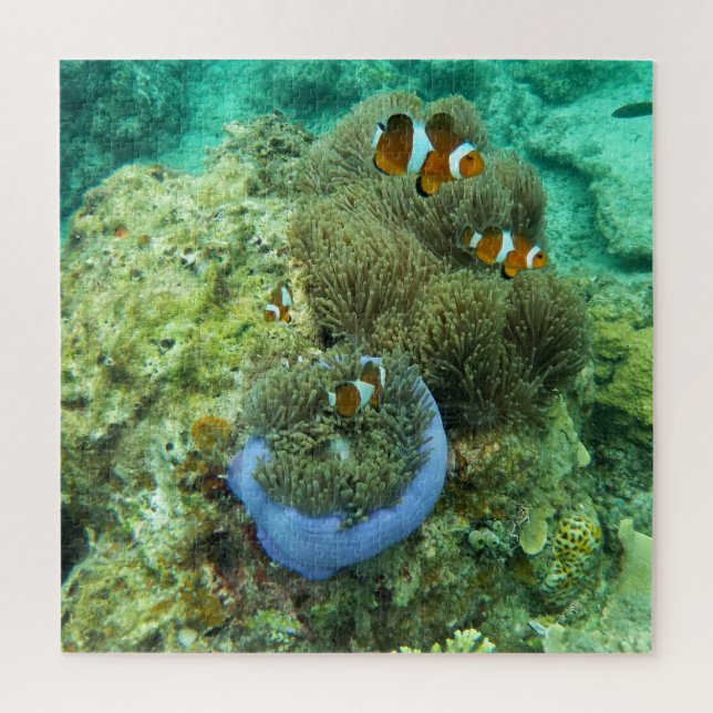 Quebra-cabeça de Palhaço Fishes Jigsee (Vertical)