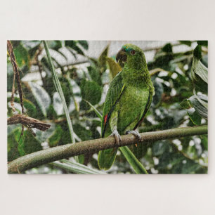 quebra-cabeça de papagaio verde