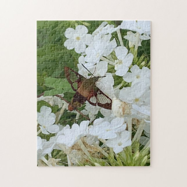 Quebra-cabeça de passarinho (Vertical)