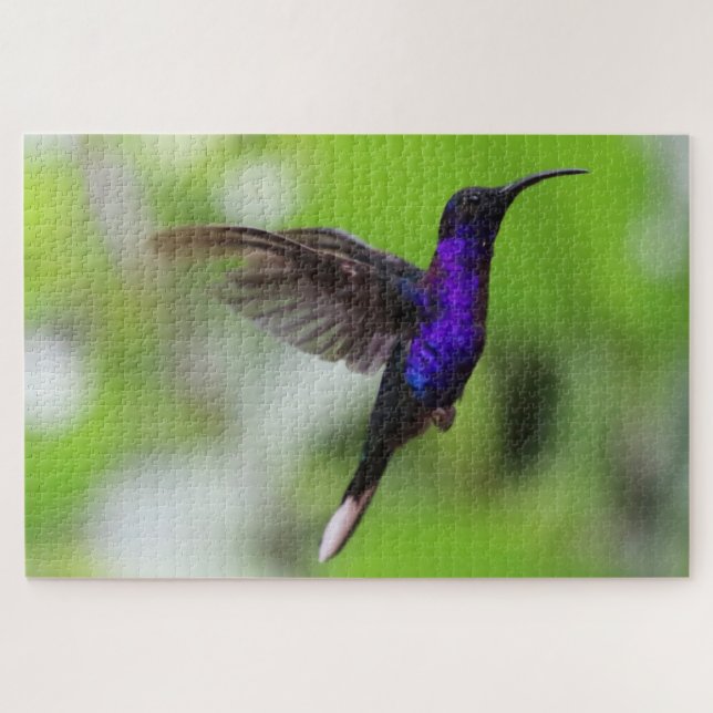 Quebra-cabeça de passarinho (Horizontal)