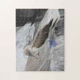 Quebra-cabeça de pássaro