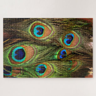 Quebra-cabeça de Peacock Feathers Jigsaw